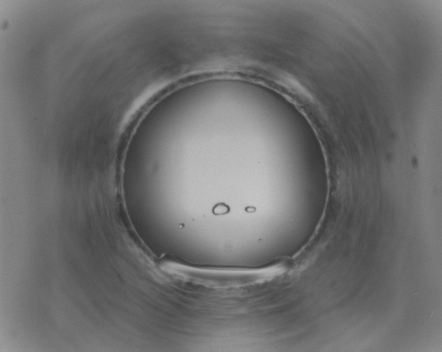 X0000076391216200610202056