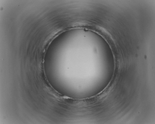 X0000076391217200610202056