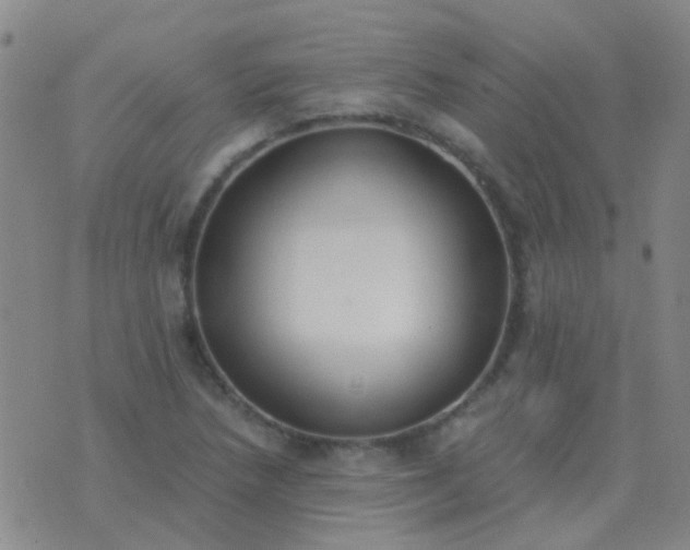 X0000076391218200610202056