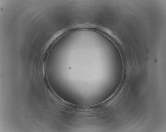 X0000076391221200610202056