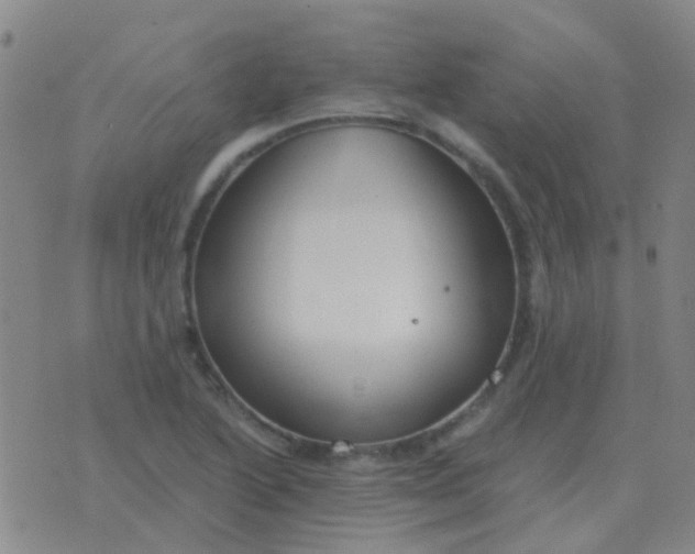 X0000076391222200610202056