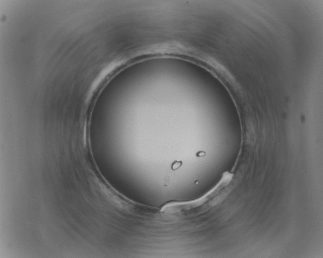 X0000076391224200610202056