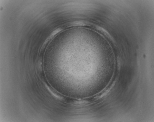 X0000076391225200610202056