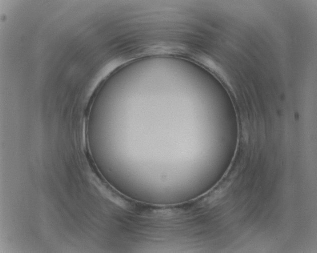 X0000076391227200610202056