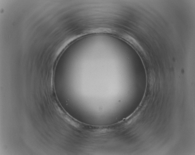 X0000076391228200610202056