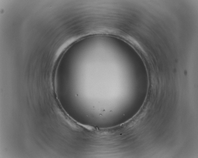 X0000076391230200610202056