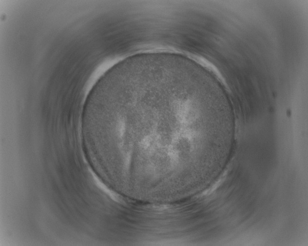 X0000076391231200610202056