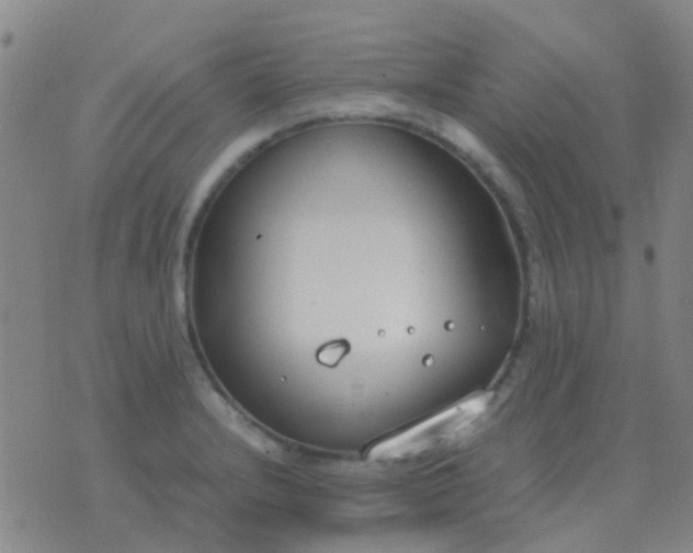 X0000076391232200610202056