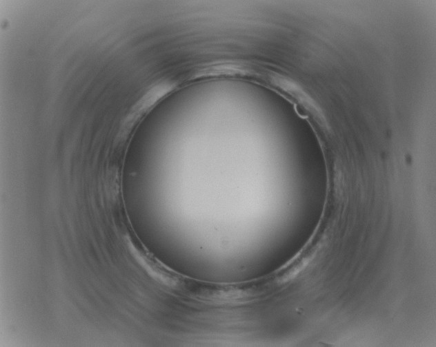 X0000076391233200610202056