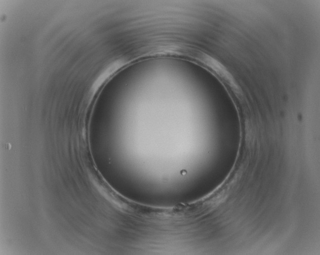 X0000076391234200610202056