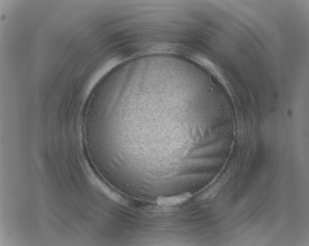 X0000076391235200610202056