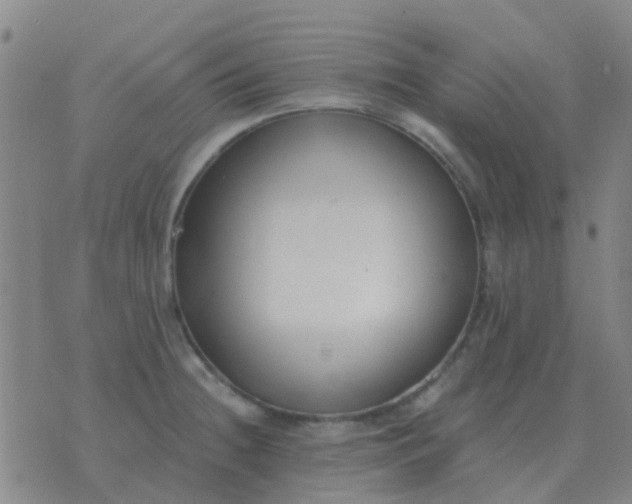 X0000076391236200610202056