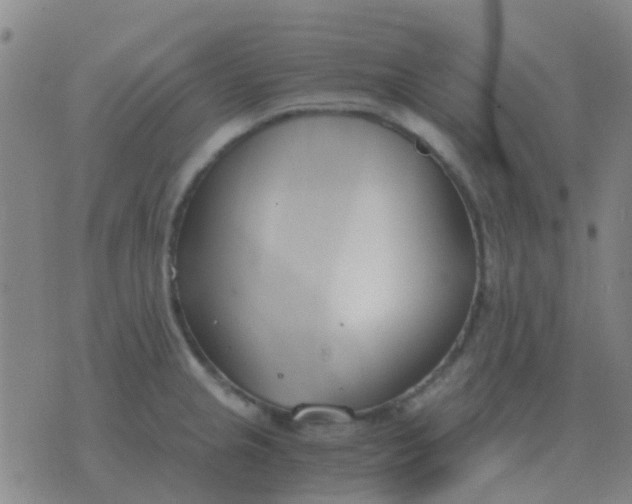 X0000076391237200610202056