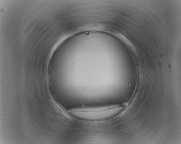 X0000076391240200610202056