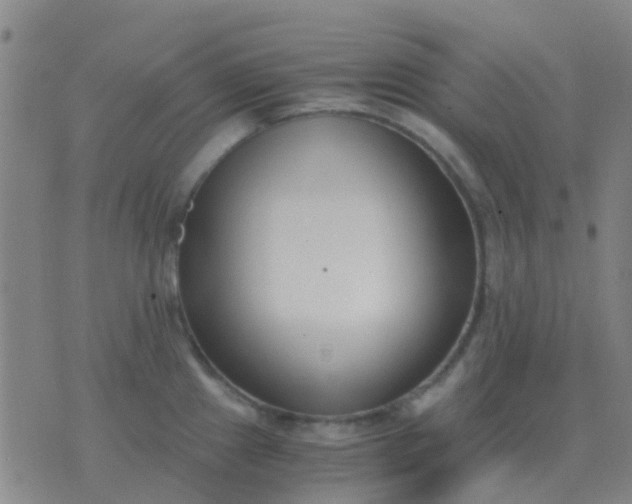 X0000076391241200610202056