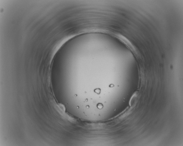 X0000076391244200610202056