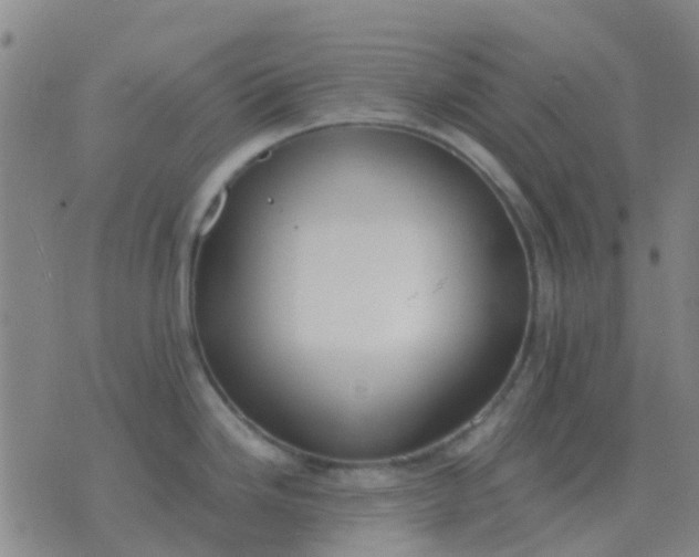 X0000076391246200610202056