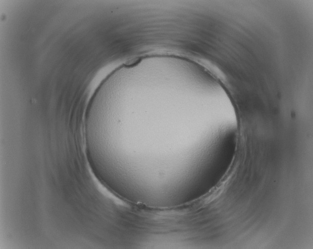 X0000076391247200610202056