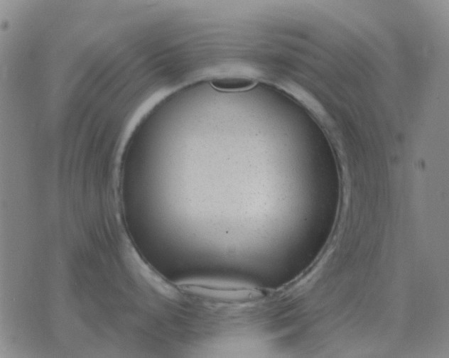 X0000076391248200610202056