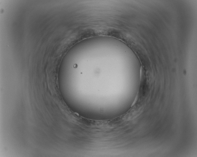 X0000076391249200610202056