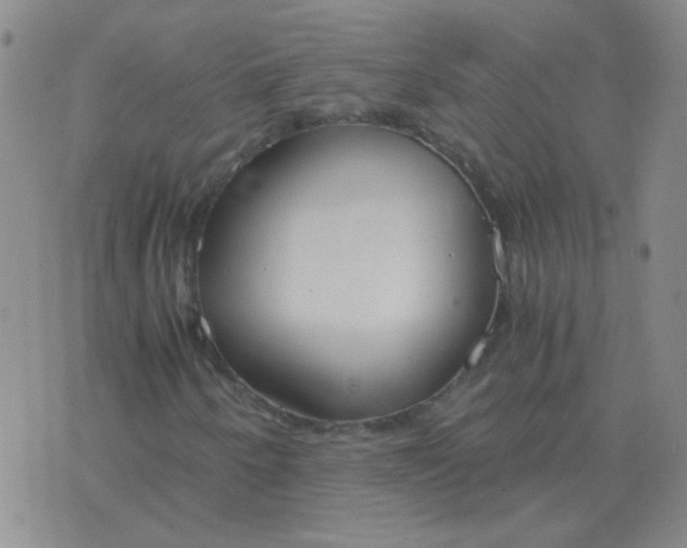 X0000076391250200610202056