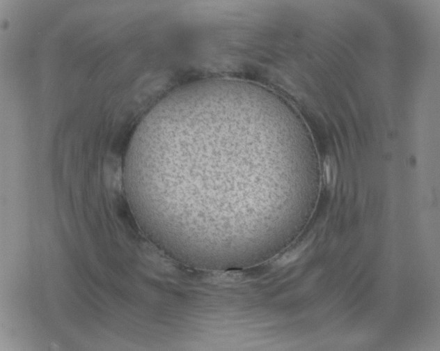 X0000076391251200610202055