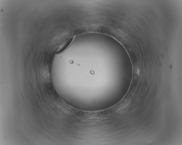 X0000076391252200610202055