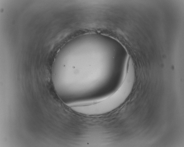 X0000076391253200610202055