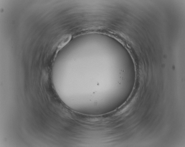 X0000076391257200610202055