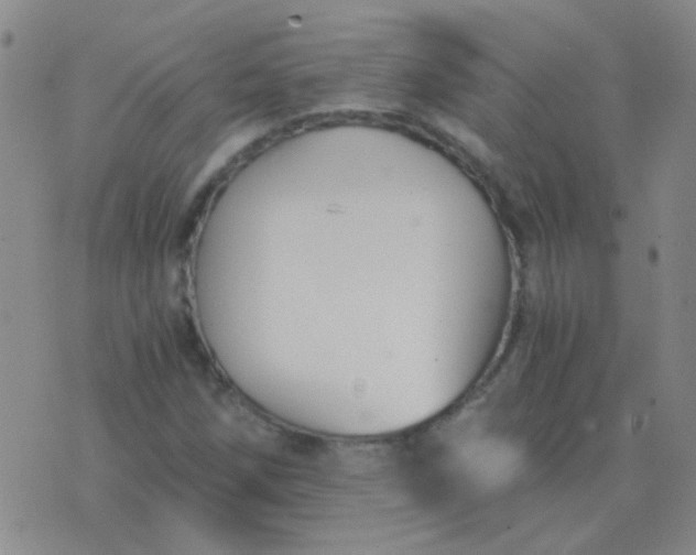 X0000076391258200610202055