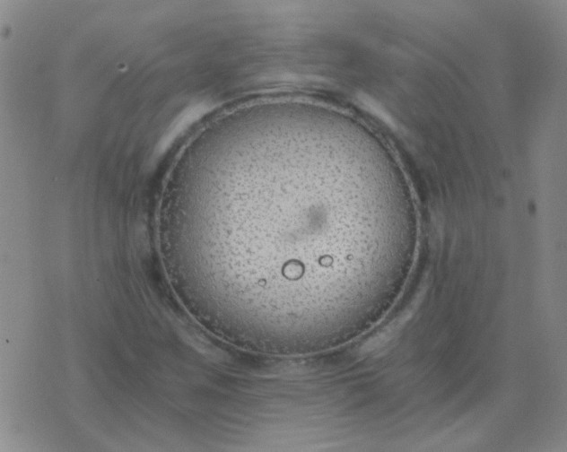 X0000076391259200610202055