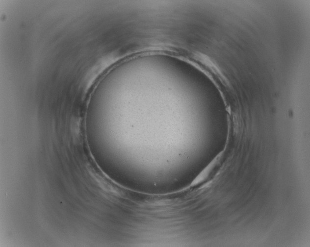 X0000076391260200610202055