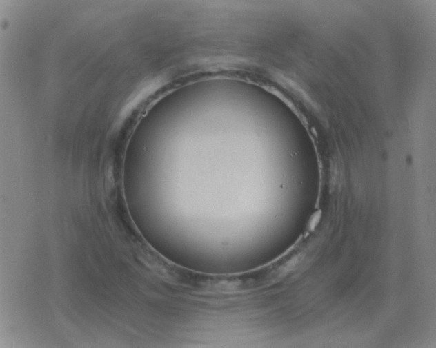 X0000076391261200610202055