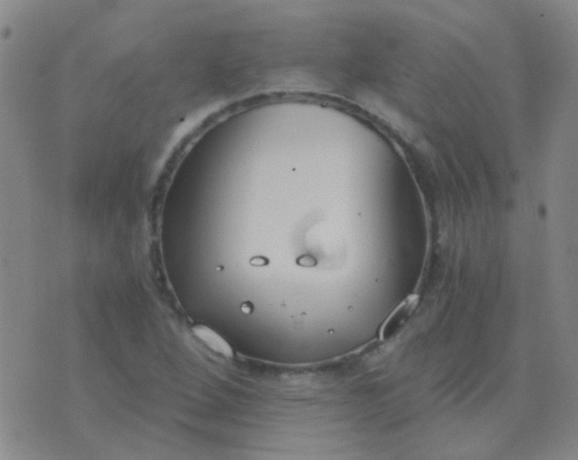 X0000076391264200610202055