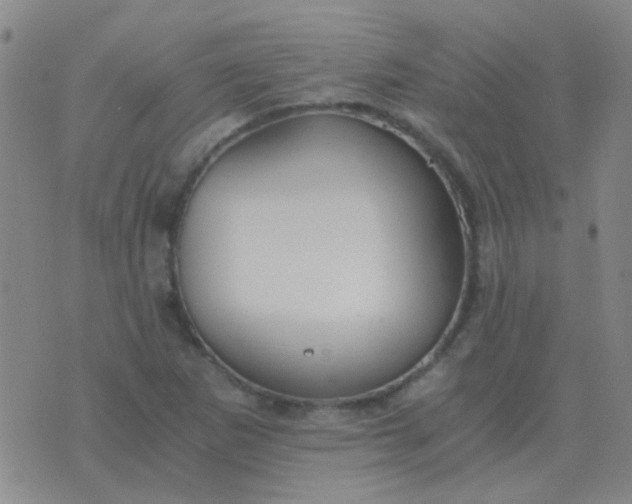 X0000076391265200610202055