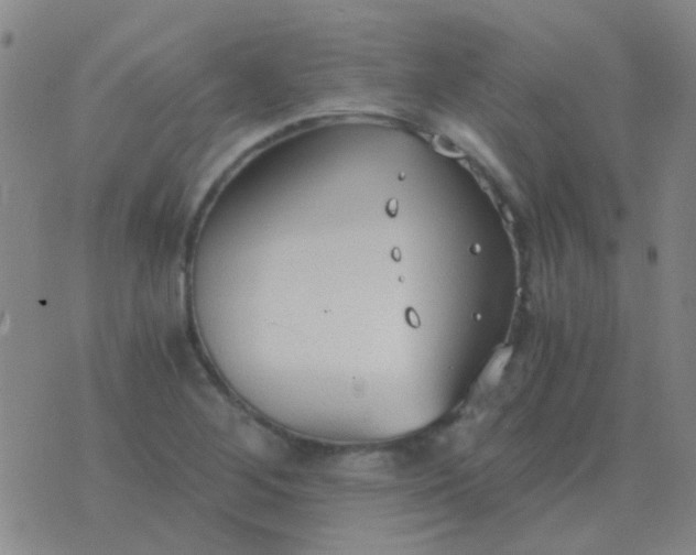 X0000076391268200610202055