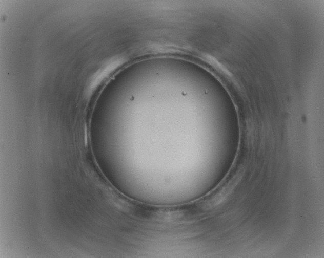 X0000076391269200610202055