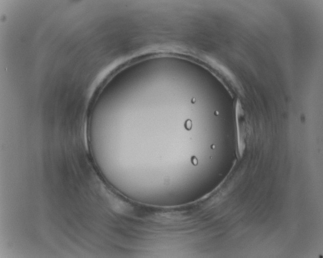 X0000076391272200610202055