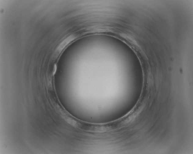 X0000076391273200610202055