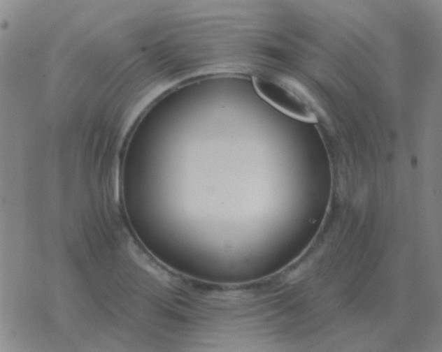 X0000076391276200610202055