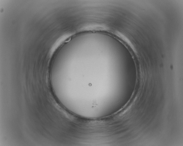 X0000076391277200610202055