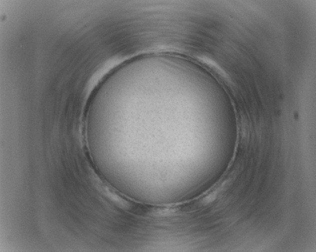 X0000076391278200610202055