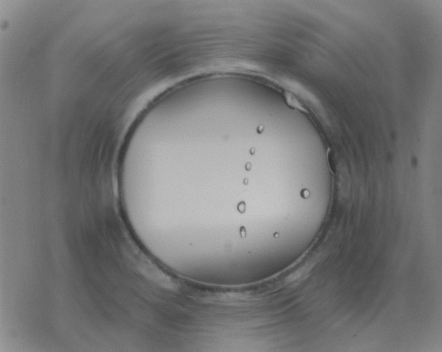 X0000076391280200610202055