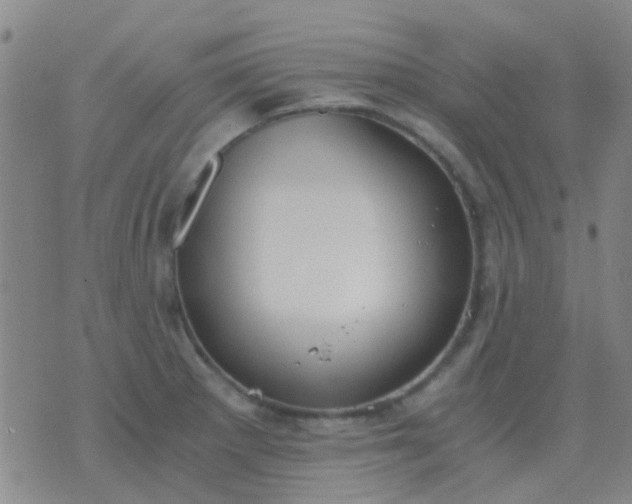 X0000076391281200610202055