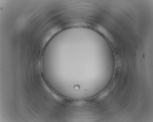 X0000076391282200610202055