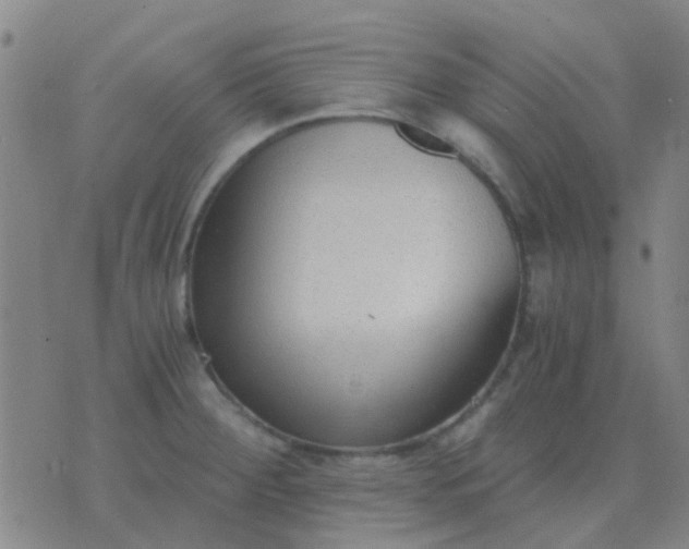 X0000076391284200610202055