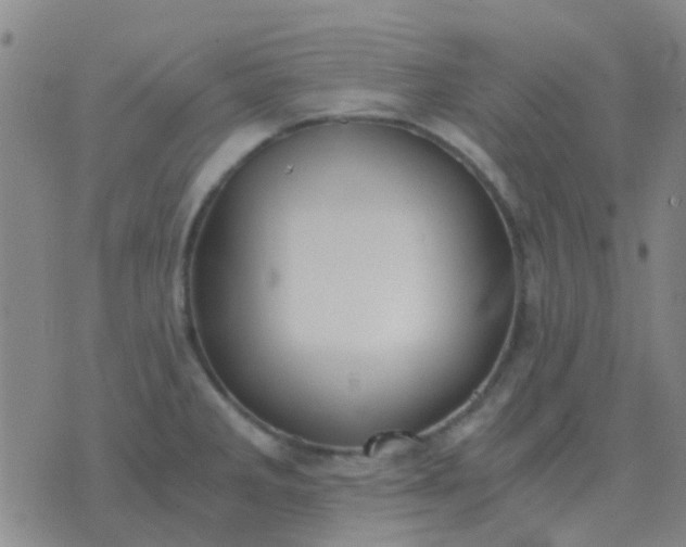 X0000076391285200610202055