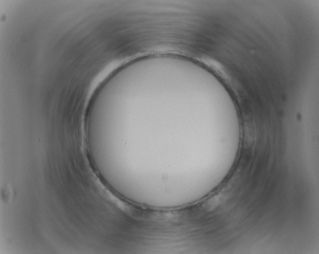 X0000076391286200610202055