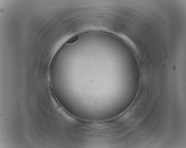 X0000076391287200610202055