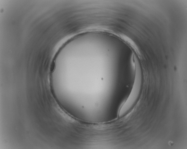 X0000076391288200610202055